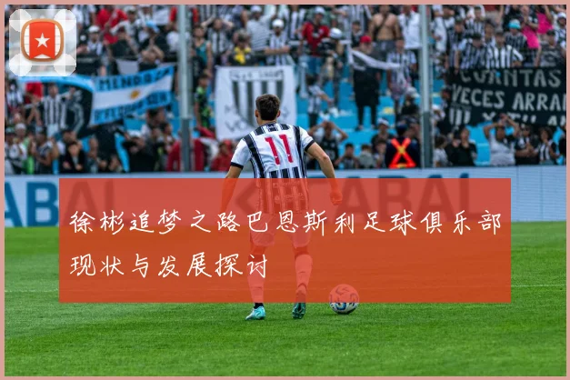 徐彬追梦之路巴恩斯利足球俱乐部现状与发展探讨