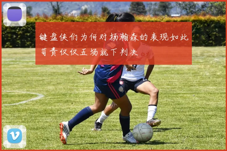 键盘侠们为何对杨瀚森的表现如此苛责仅仅五场就下判决
