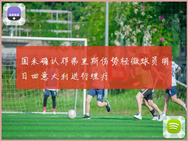 国米确认邓弗里斯伤势轻微球员明日回意大利进行理疗