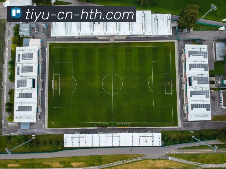 华体会体育发展历程