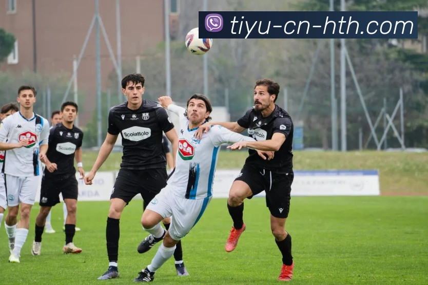 杨瀚森每次触球引观众欢呼应该将比赛用球归他所有